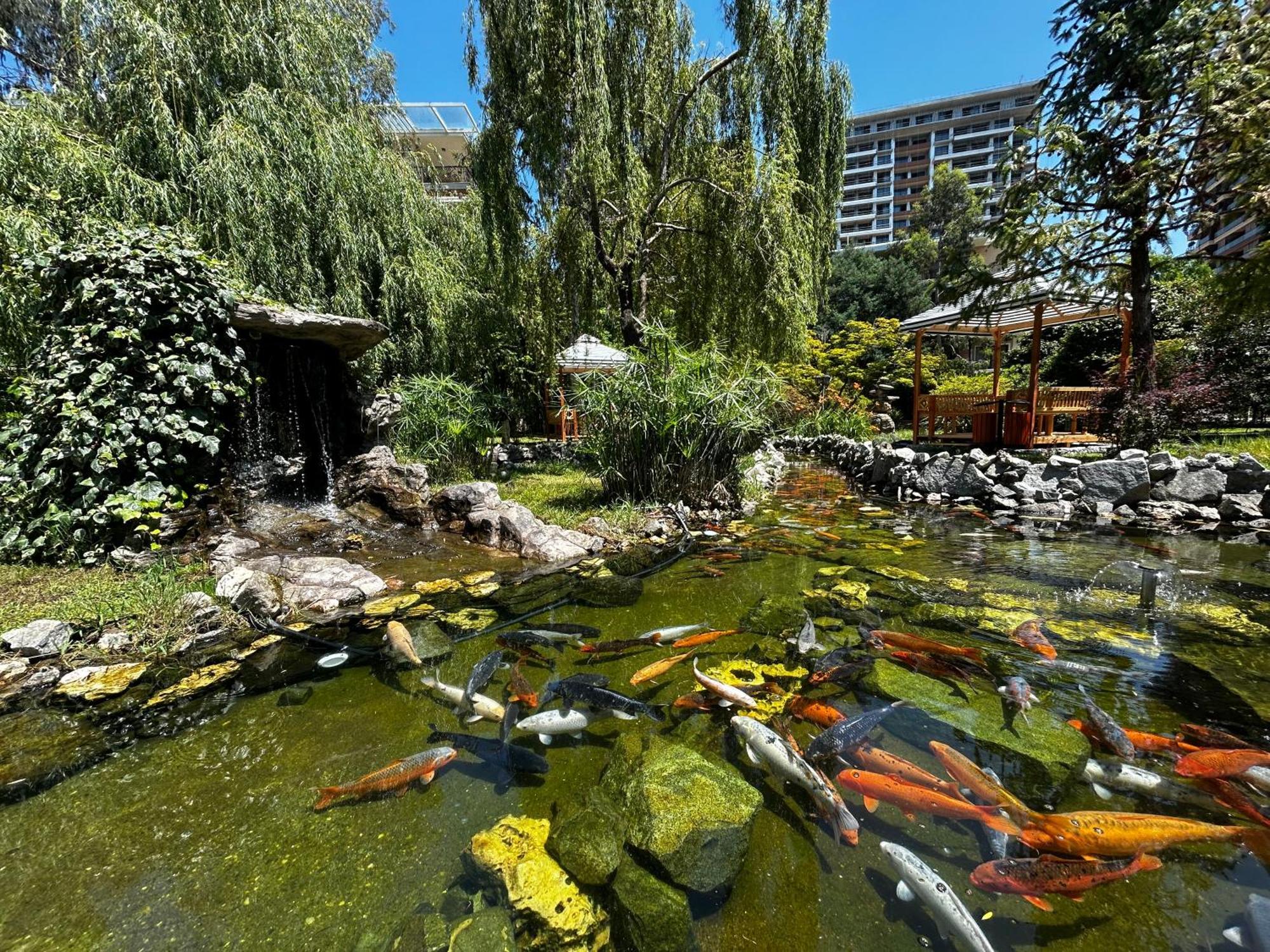 Cемейный Номер С Балконом На 4 Чел Dreamland Oasis 查克维 外观 照片